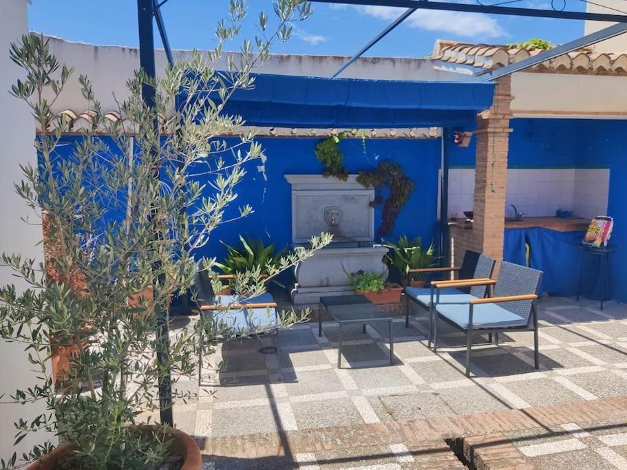 Lolas Cozy Studio Granada Eksteriør bilde